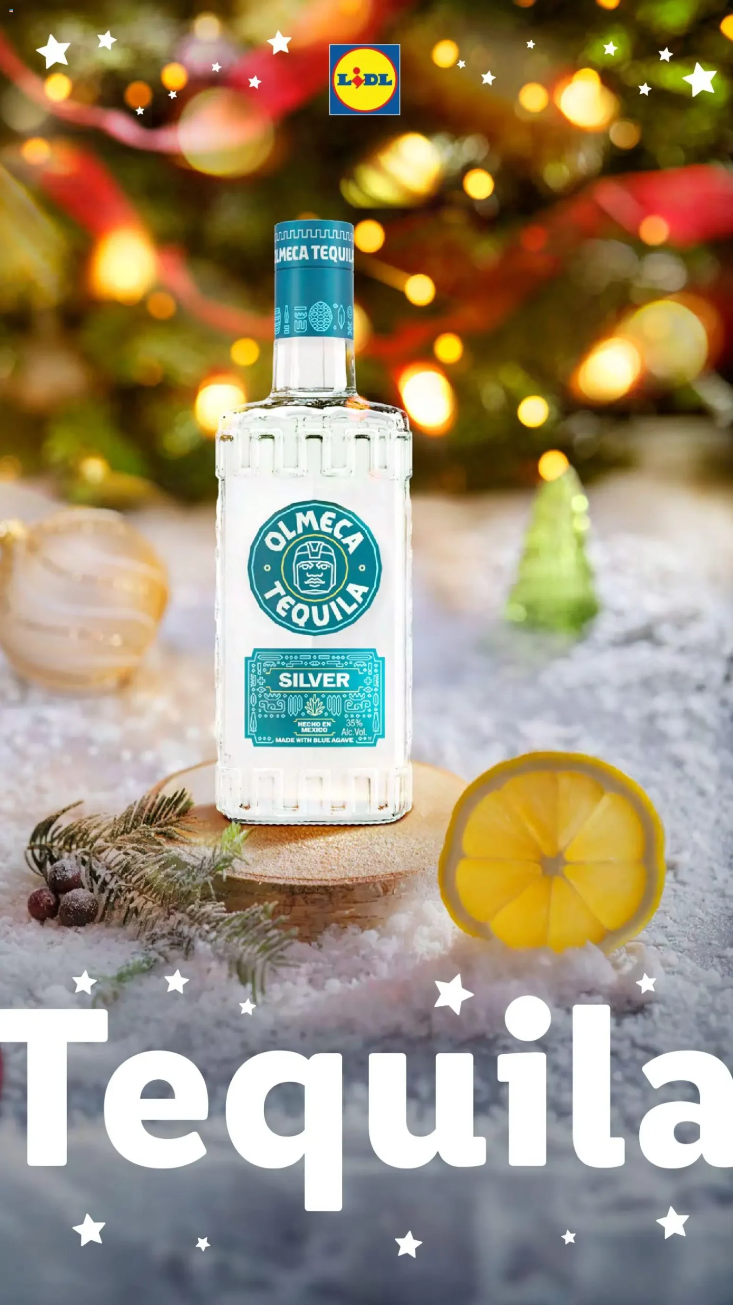 Page 13 of Aktuálny lidl leták platný od pondelka 01.12 do 31.01