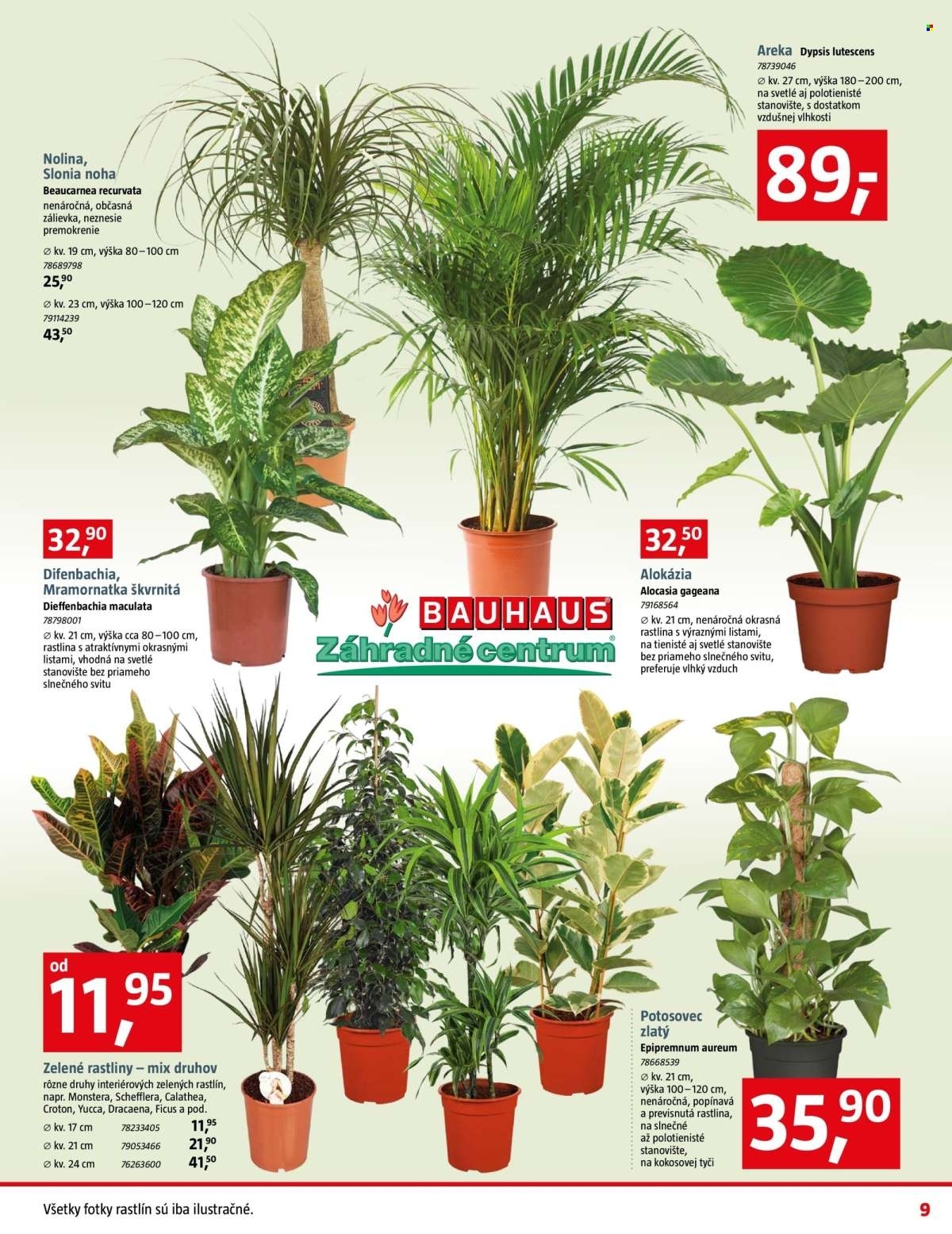 Page 9 of Aktuálny bauhaus leták platný od pondelka 12.01 do 08.02