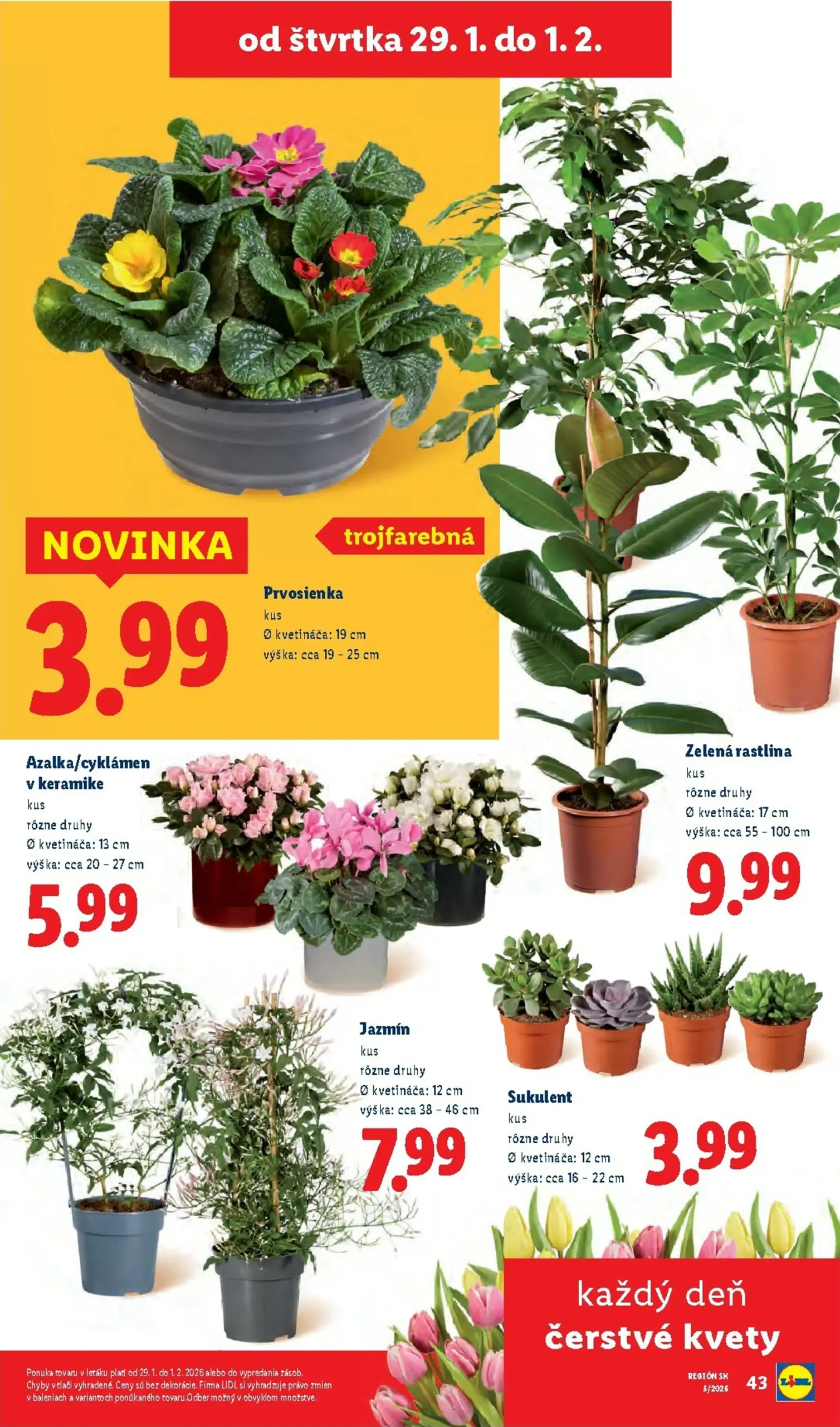Page 81 of Aktuálny lidl leták platný od pondelka 26.01 do 01.02
