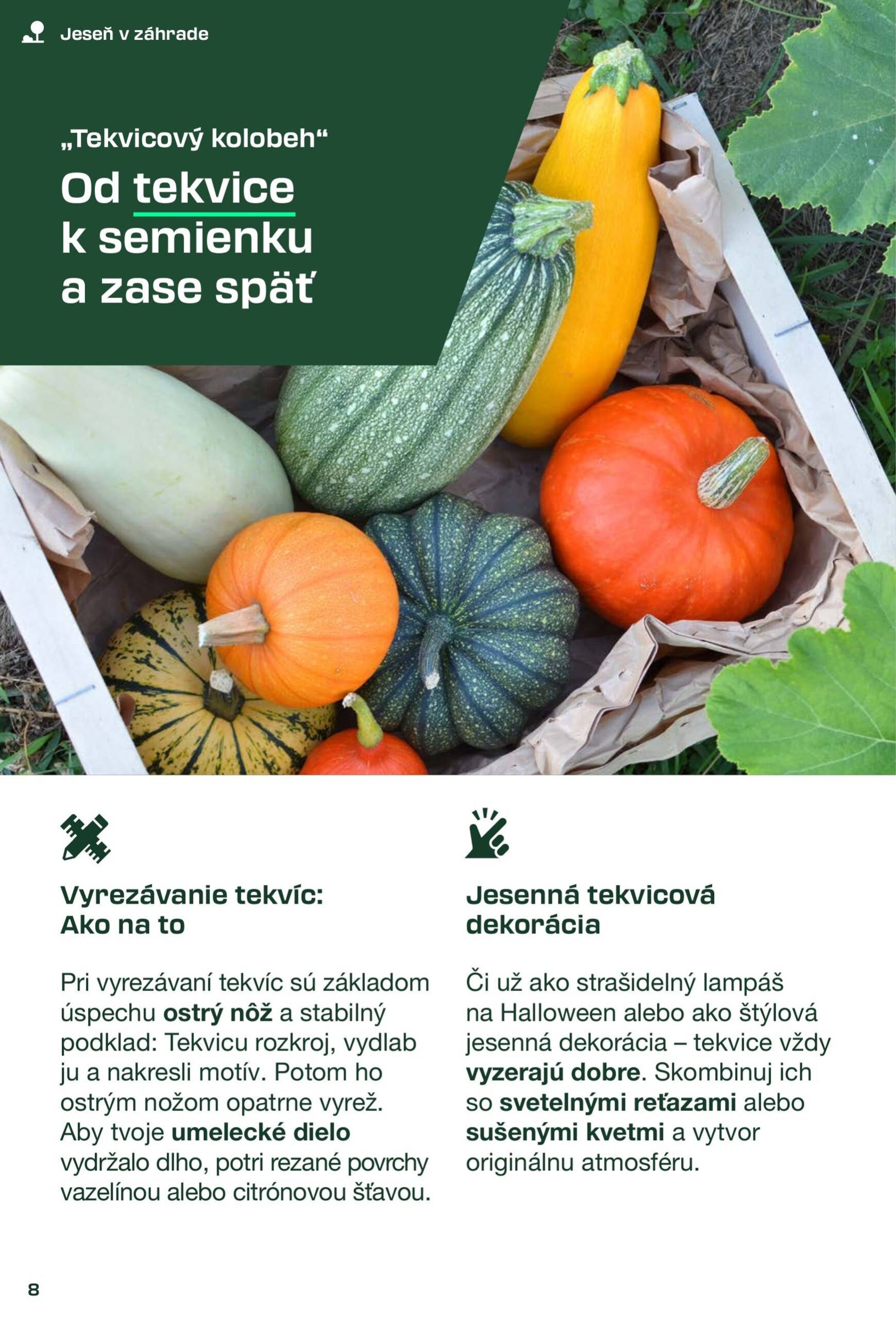 Page 8 of Aktuálny lidl leták platný od štvrtka 04.09 do 02.11
