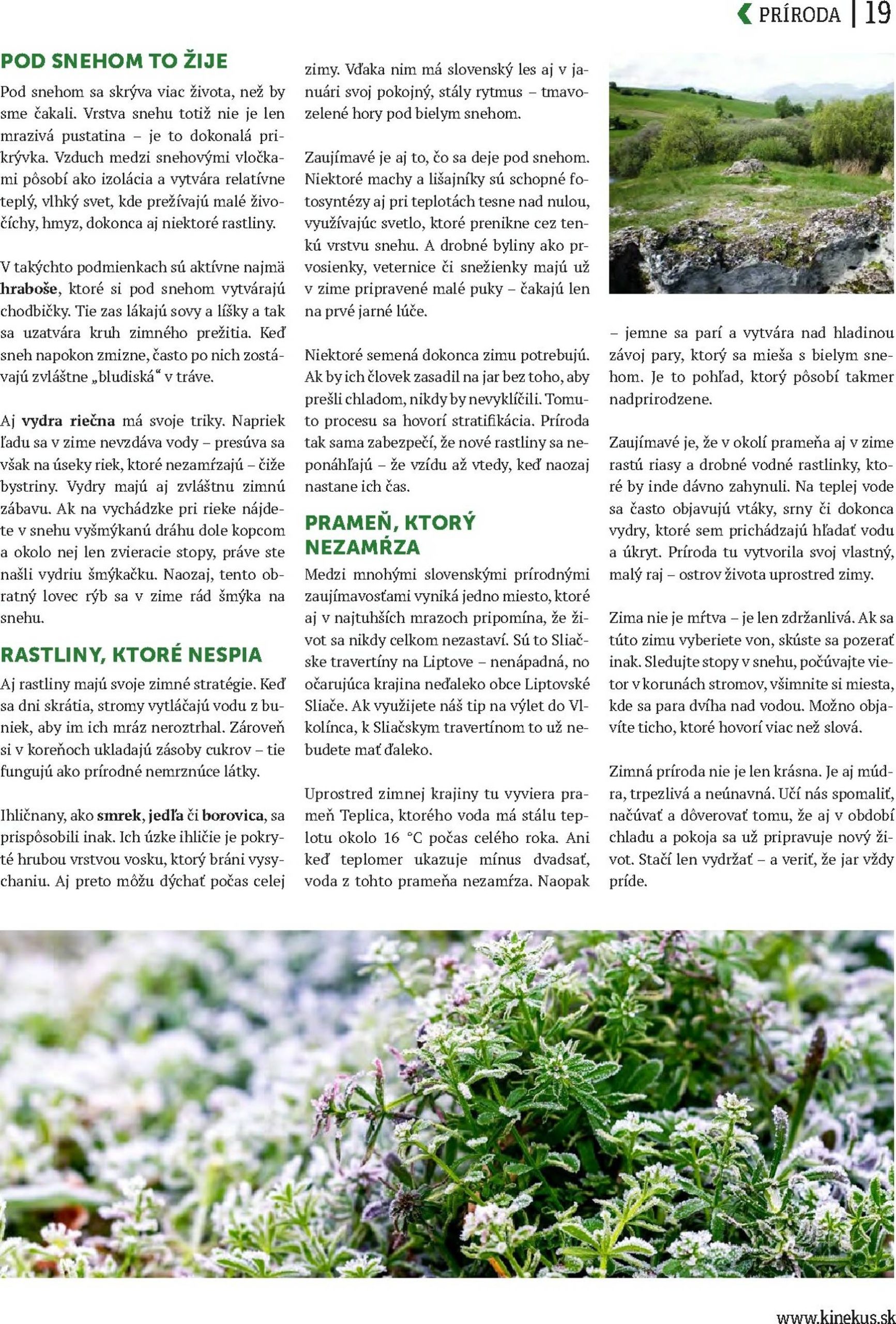 Page 19 of Aktuálny kinekus leták platný od utorka 01.12 do 21.03