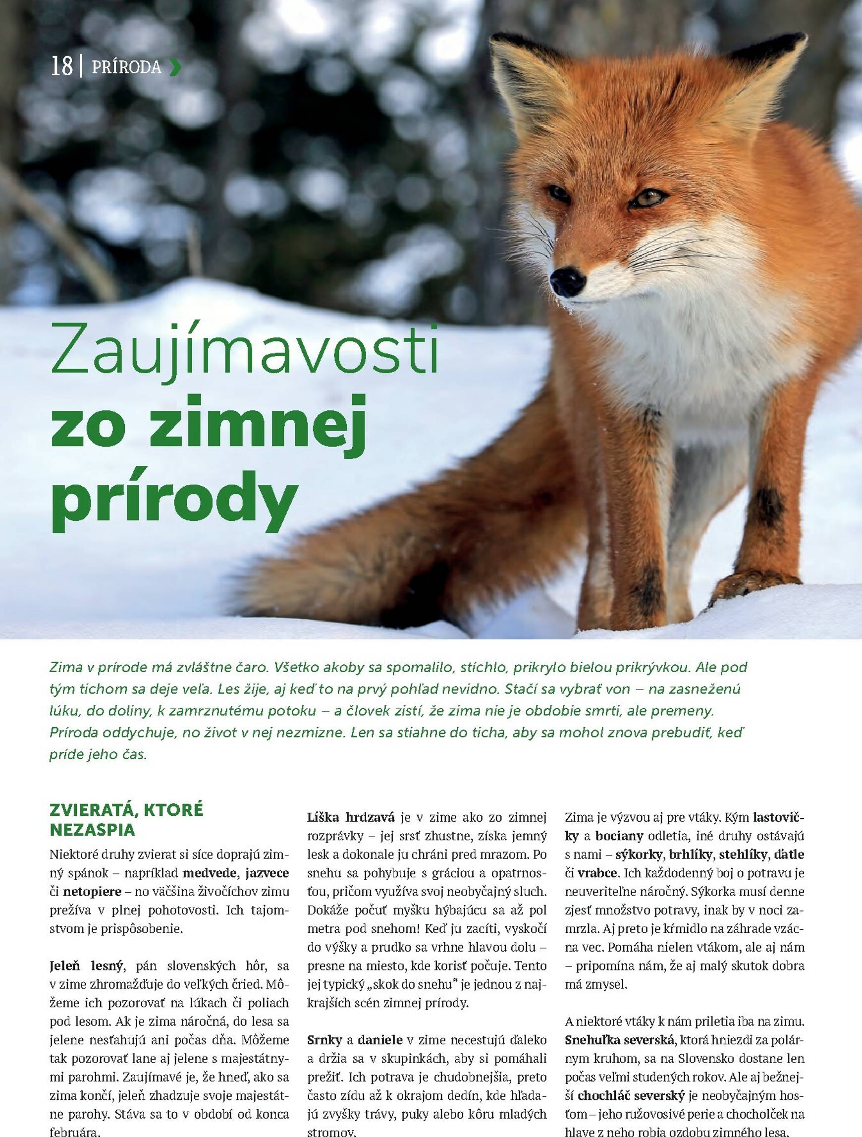 Page 18 of Aktuálny kinekus leták platný od utorka 01.12 do 21.03