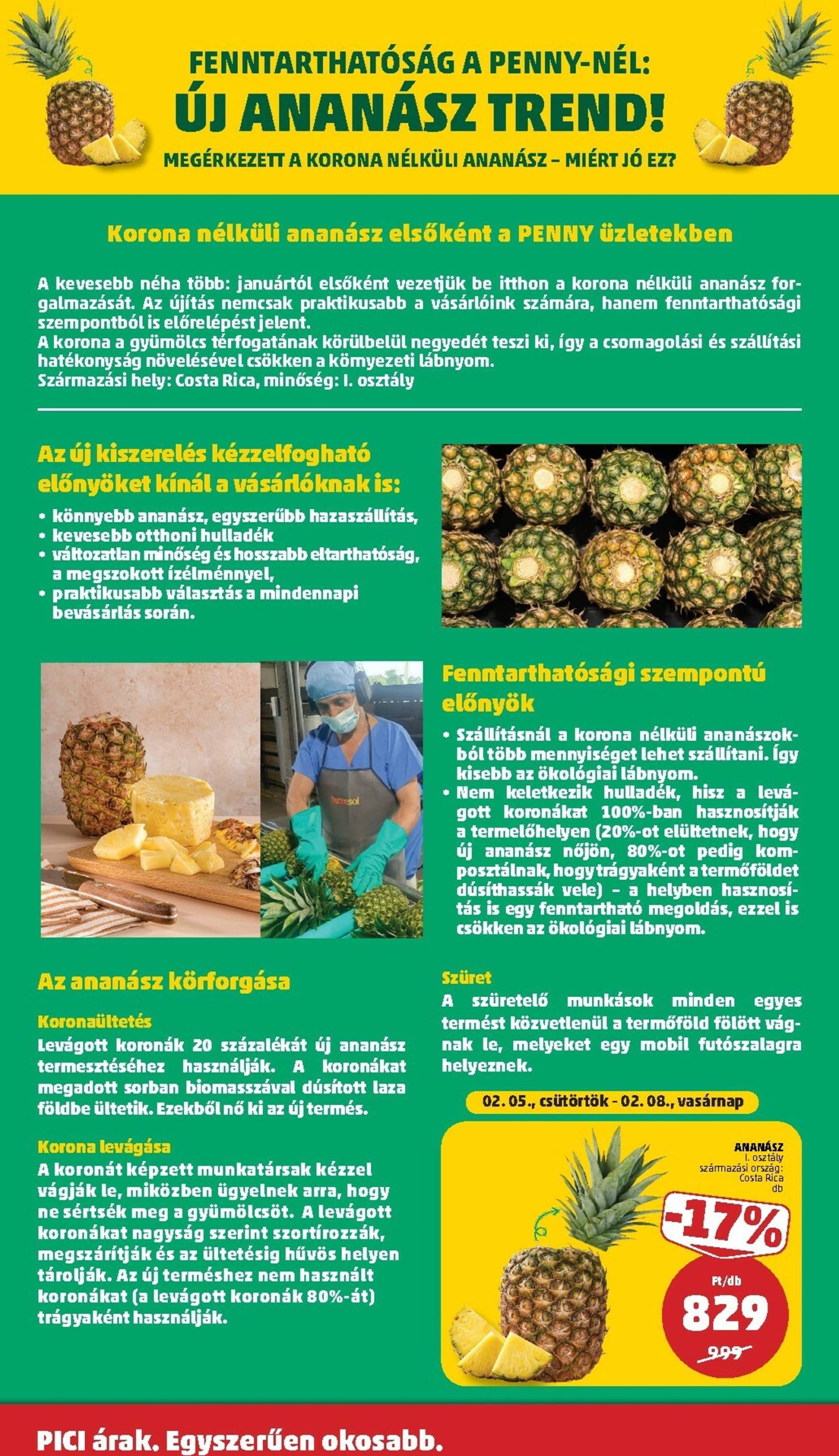 Page 31 of Aktuálny penny-madarsko leták platný od štvrtka 05.02 do 11.02