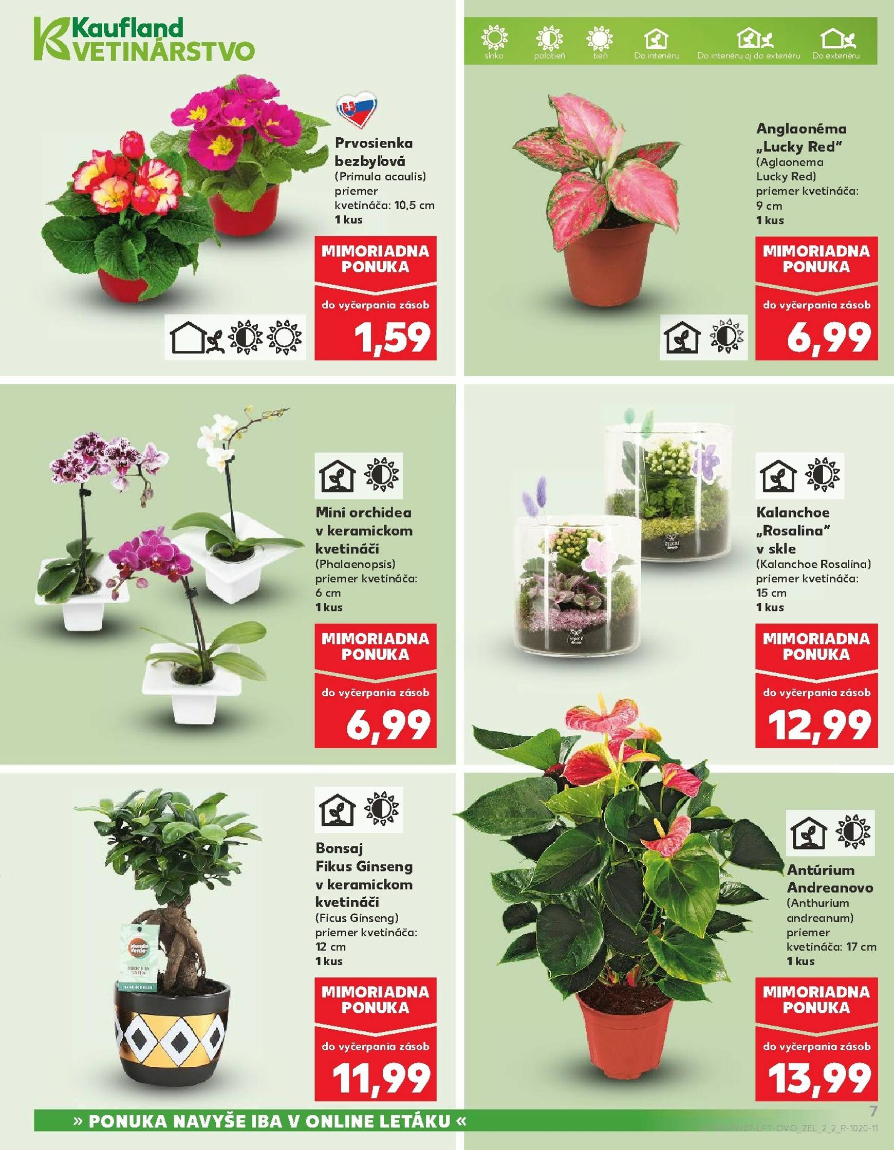 Page 7 of Aktuálny kaufland leták platný od štvrtka 12.02 do 18.02