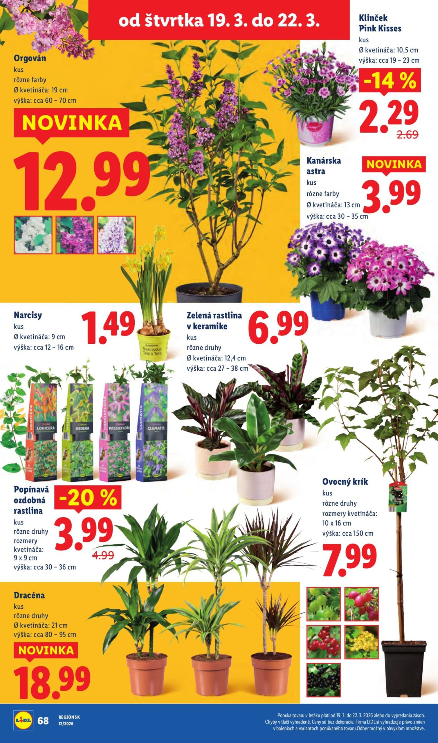 Page 26 of Aktuálny lidl leták platný od štvrtka 19.03 do 22.03